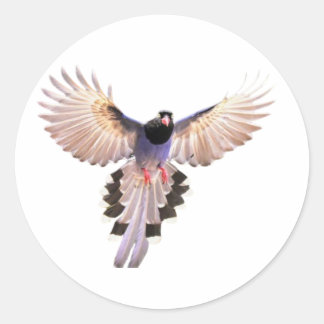 Vogelstickers Ronde Sticker