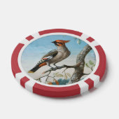 Vogelstudie door George Edwards (1694-1773) Poker Chips (Enkel)
