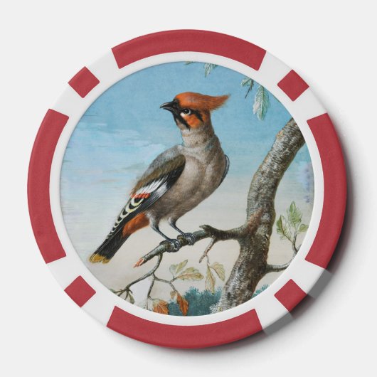 Vogelstudie door George Edwards (1694-1773) Poker Chips (Achterkant)