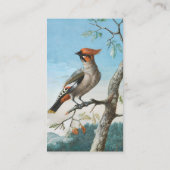 Vogelstudie door George Edwards (1694-1773) Visitekaartje (Achterkant)