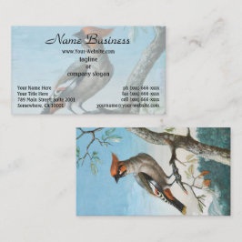 Vogelstudie door George Edwards (1694-1773) Visitekaartje