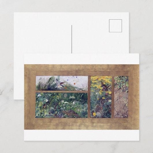 Vogelstudies, Bruno Liljefors Briefkaart (Voorkant / Achterkant)