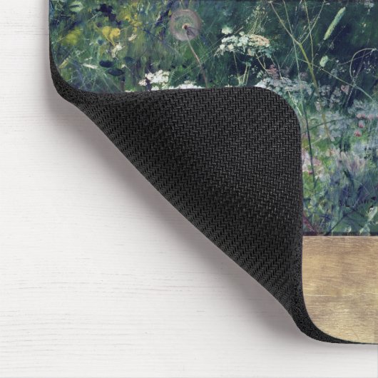 Vogelstudies, Bruno Liljefors Muismat (Hoek)