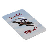 Vogelsurfen Magneet (Rechterzijde)
