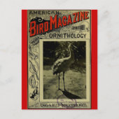 Vogeltijdschrift jul 3 1903 briefkaart (Voorkant)