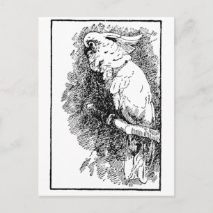 Vogeltje Briefkaart