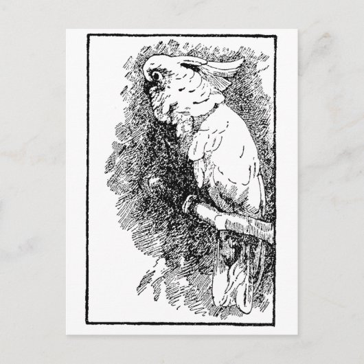 Vogeltje Briefkaart (Voorkant)