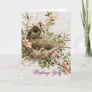 vogeltje met nest feestdagen kaart