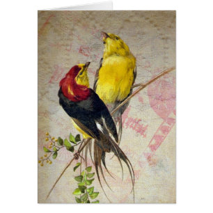  vogeltrek alle keren