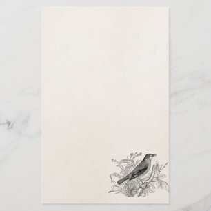  vogeltrekvogels - Speciaal gepersonaliseerde voge Briefpapier
