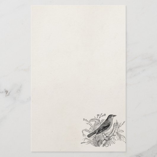  vogeltrekvogels - Speciaal gepersonaliseerde voge Briefpapier (Voorkant)