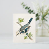  vogeltrekvogels van 1800 briefkaart (Staand voorkant)