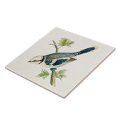 vogeltrekvogels van 1800 tegeltje (Zijkant)