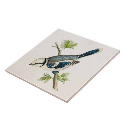  vogeltrekvogels van 1800 tegeltje (Zijkant)