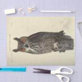 Vogeluil Ephemera Decoupage Tissuepapier (Craft)