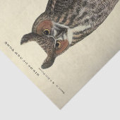 Vogeluil Ephemera Decoupage Tissuepapier (Detail)