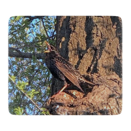 Vogeluitsnijderij Snijplank (Voorkant)