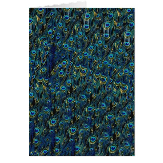   vogelvangbeestje (Voorkant)