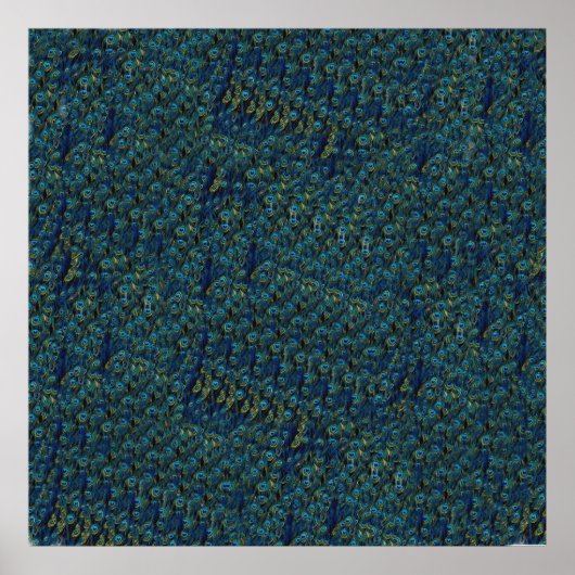   vogelvangbeestje poster (Voorkant)