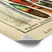 vogelvanger - plug-wandkunstdecor poster (Hoek)