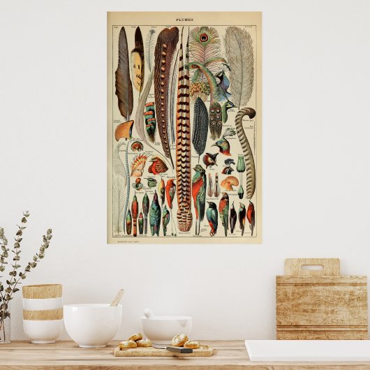  vogelvanger - plug-wandkunstdecor poster (Keuken)