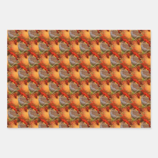 Vogelvariëteit en heremietsje met ringvormige kop inpakpapier vel (Voorkant 3)