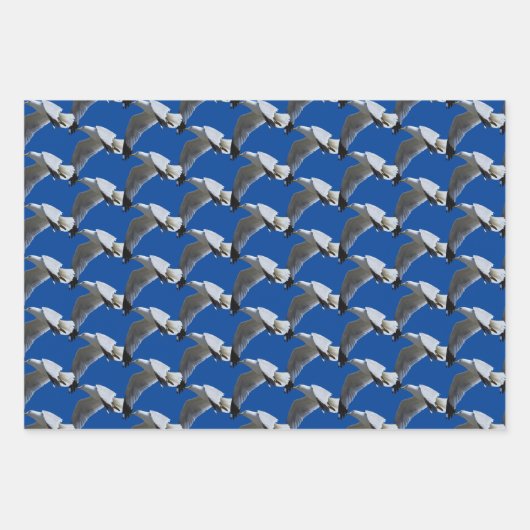 Vogelvariëteit en heremietsje met ringvormige kop inpakpapier vel (Voorkant 2)