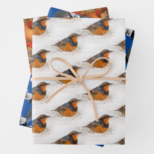 Vogelvariëteit en heremietsje met ringvormige kop inpakpapier vel (In situ)