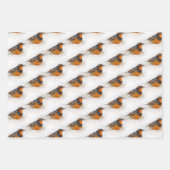 Vogelvariëteit en heremietsje met ringvormige kop inpakpapier vel (Voorkant)