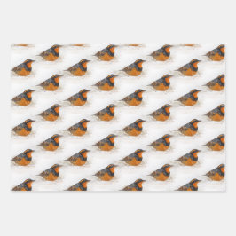 Vogelvariëteit en heremietsje met ringvormige kop inpakpapier vel