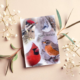 Vogelvariëteit Happy Birthday Kaart