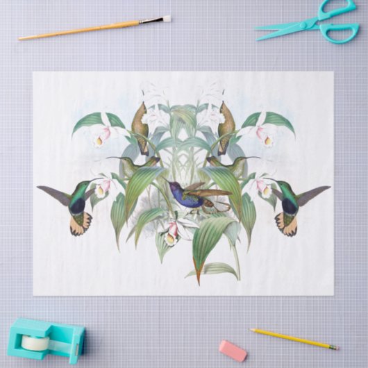 Vogelvederwild Orchidee Florence Tissuepapier (Craft)