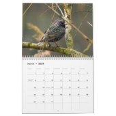 "Vogelverhalen" Vogelfotokalender Kalender (Mar 2026)