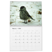 "Vogelverhalen" Vogelfotokalender Kalender (Feb 2026)