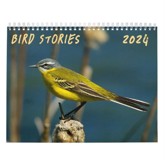 "Vogelverhalen" Vogelfotokalender Kalender (Hoes)