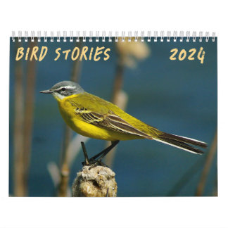 "Vogelverhalen" Vogelfotokalender Kalender