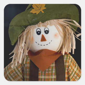 Vogelverschrikker en groen Pet Vierkante Sticker