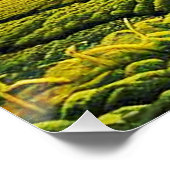 Vogelverschrikker in groentevelden 9 perfect poster (Hoek)