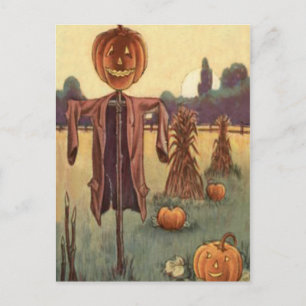 Vogelverschrikker Jack O Lantern Pompoen Briefkaart