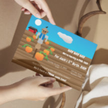 Vogelverschrikkerpartij (landschap)