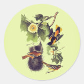  vogelverschrikkingen ronde sticker (Voorkant)