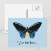 Vogelvleugelvlinder Briefkaart (Voorkant / Achterkant)