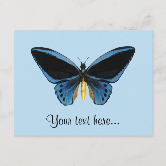 Vogelvleugelvlinder Briefkaart (Voorkant)