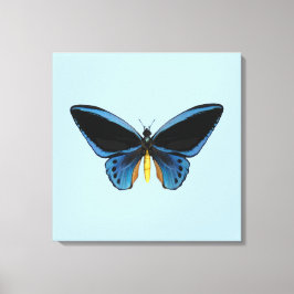 Vogelvleugelvlinder Canvas Afdruk