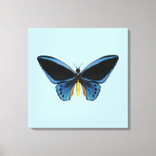 Vogelvleugelvlinder Canvas Afdruk