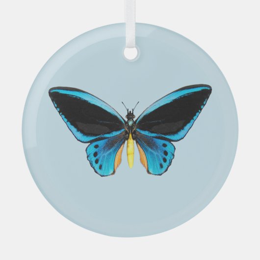 Vogelvleugelvlinder Glas Ornament (Voorkant)