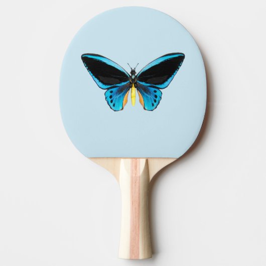 Vogelvleugelvlinder Tafeltennisbatje (Voorkant)