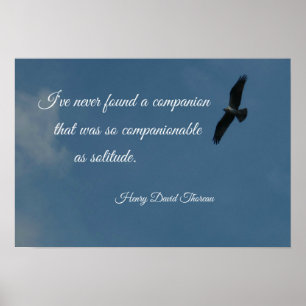 Vogelvliegen hoog met citaat over eenzaamheid. poster