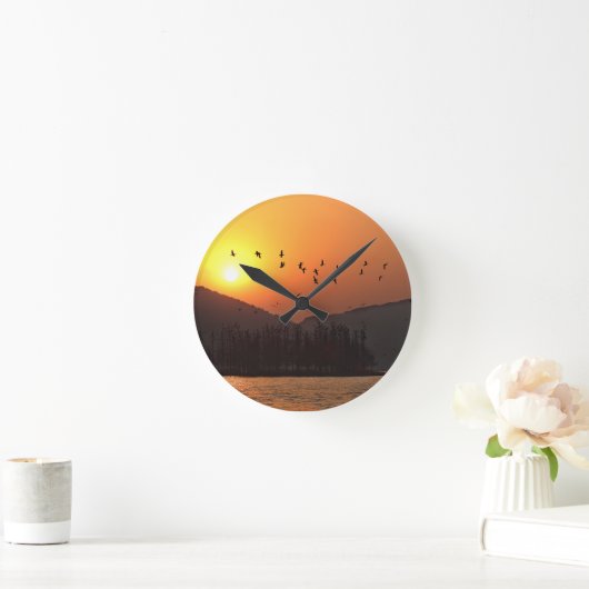 Vogelvliegen in de Sunset Sky boven het oostmeer Ronde Klok (Huis)