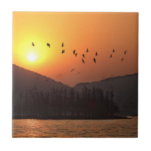 Vogelvliegen in de Sunset Sky boven het oostmeer Tegeltje